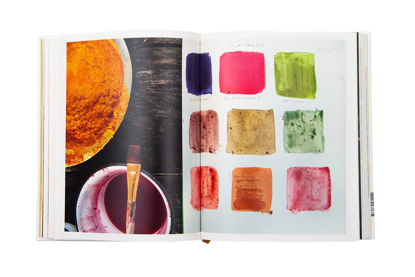 LIBRO COLOR AMAZONIA - imagen 3