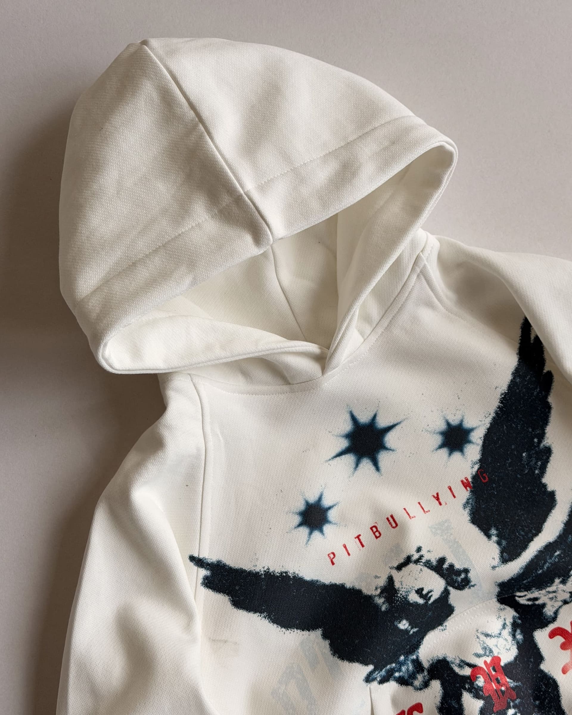 HOODIE OVERSIZE CRUDO ANGEL - imagen 7