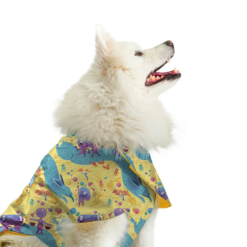 Capa impermeable para mascotas Guaduas Viajerxs Astrales - imagen 3