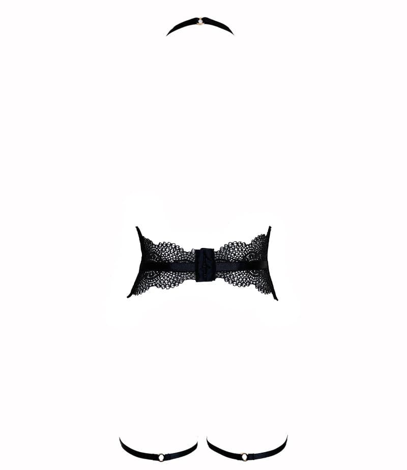 ARNÉS AMOUR - imagen 3