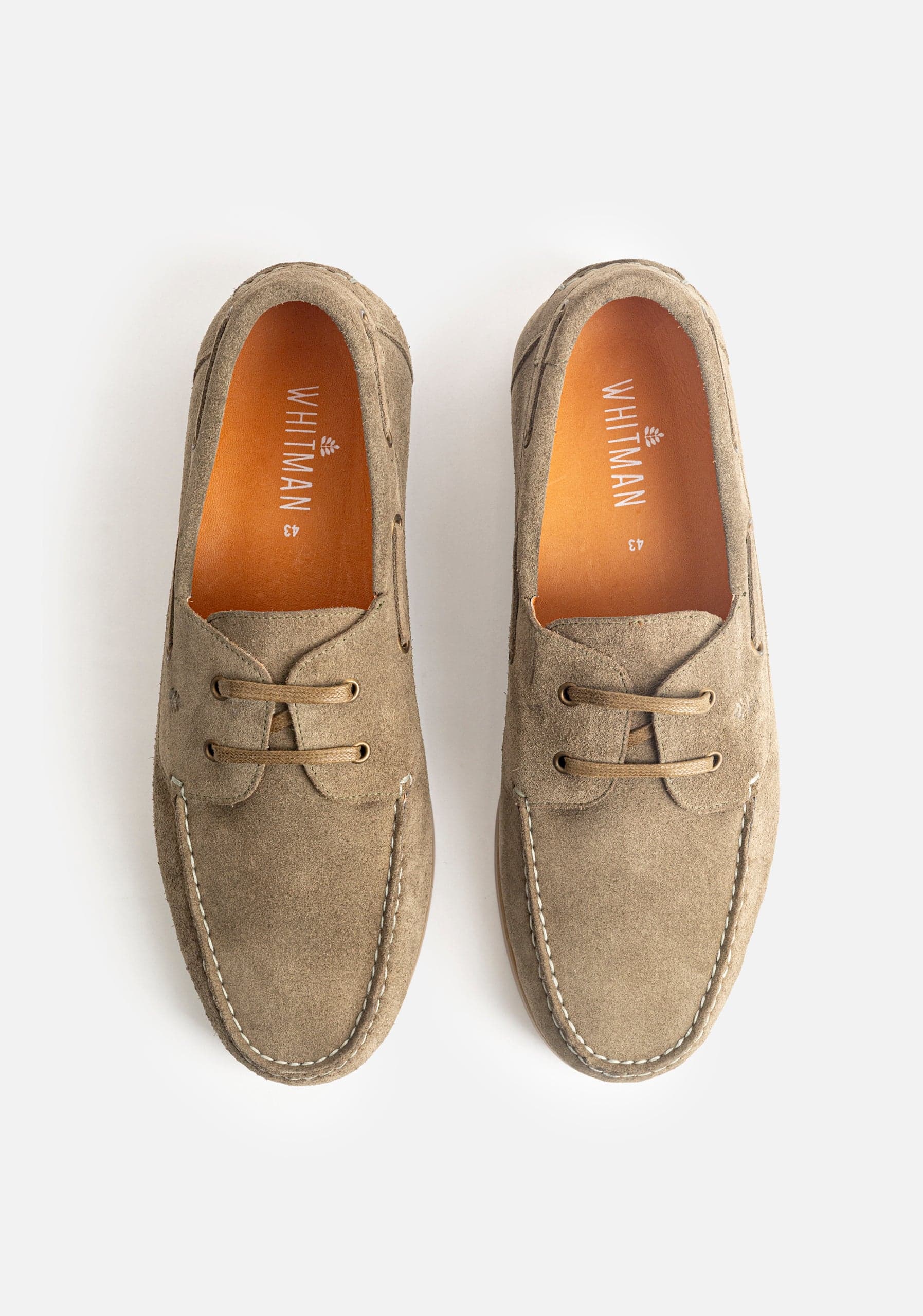 Zapato Bernini Taupe - imagen 3
