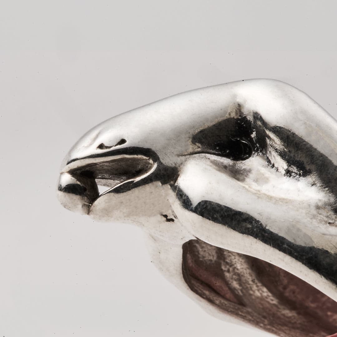 Anillo Rana - imagen 2