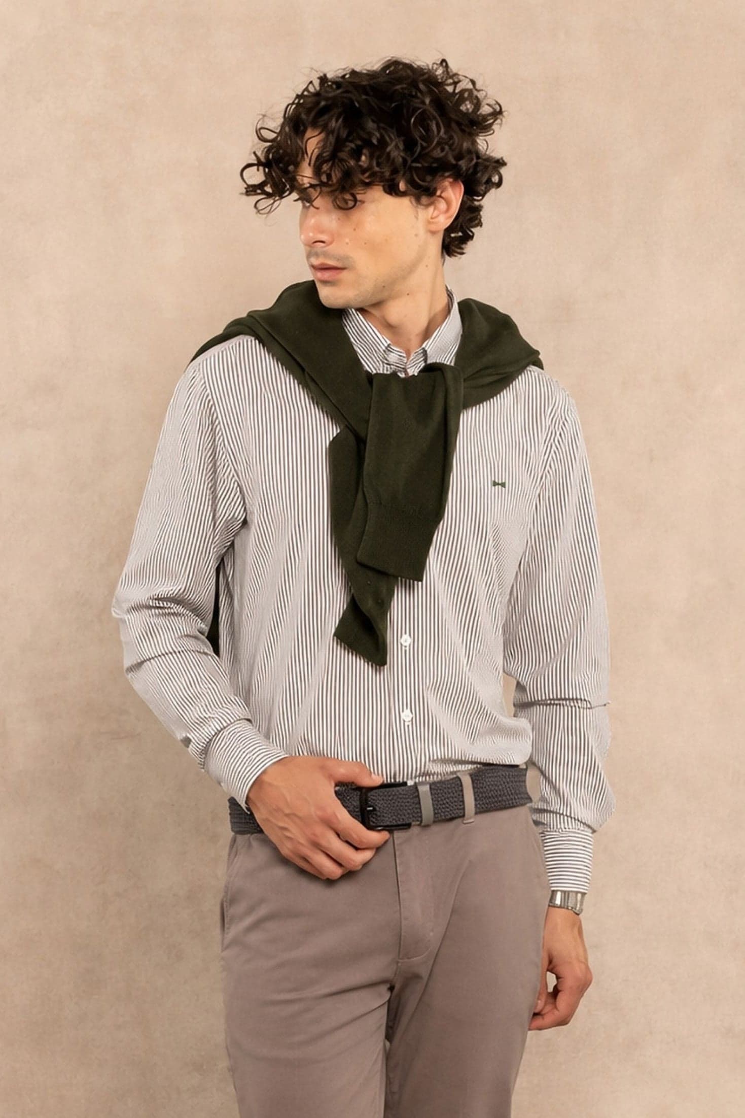 Camisa Performance Oxford Rayas Verde