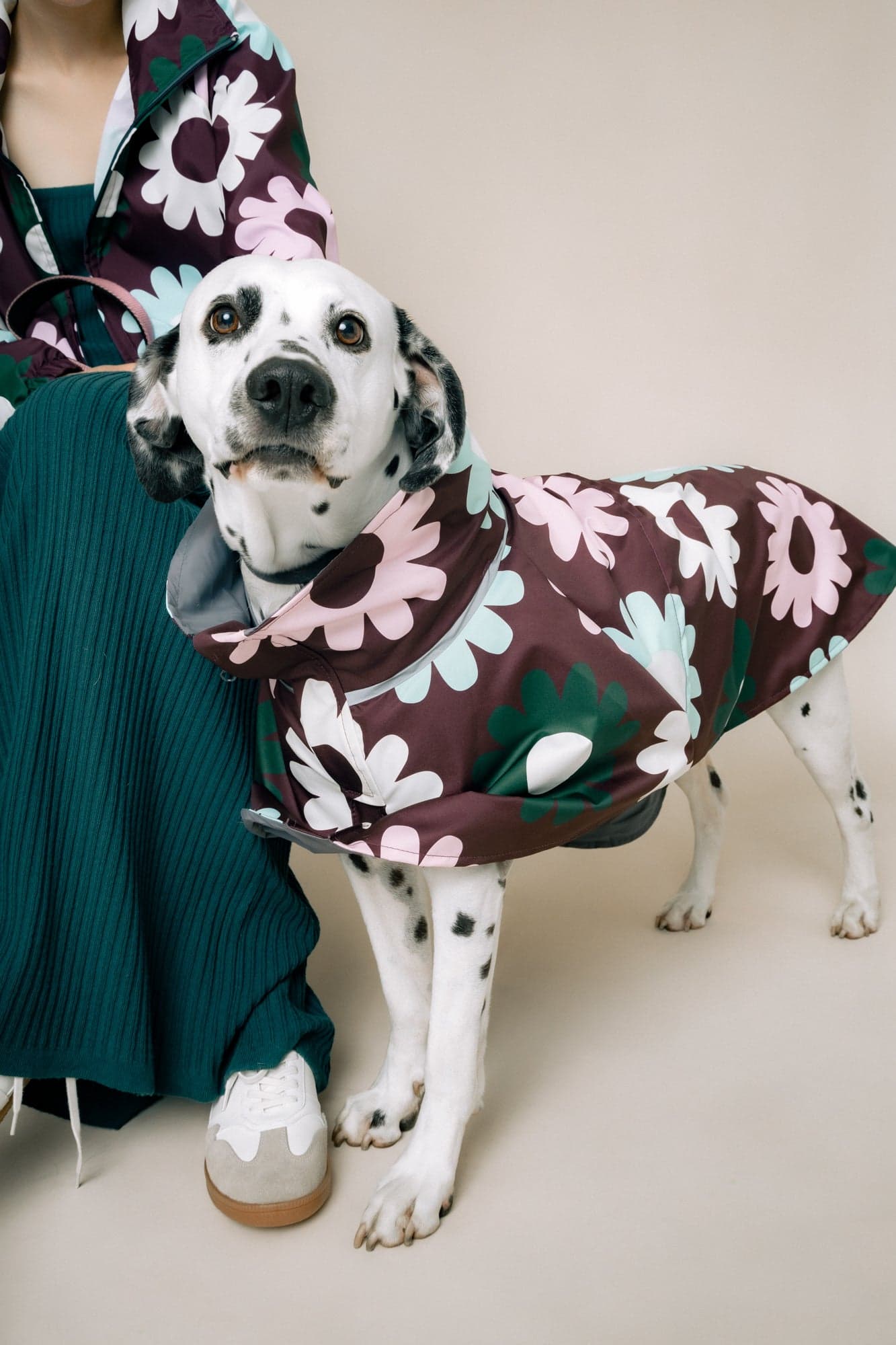 DOG´S RAINCOAT PETAL PLOP - imagen 5