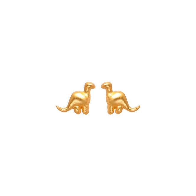 Arete Dinosaurio - imagen 1