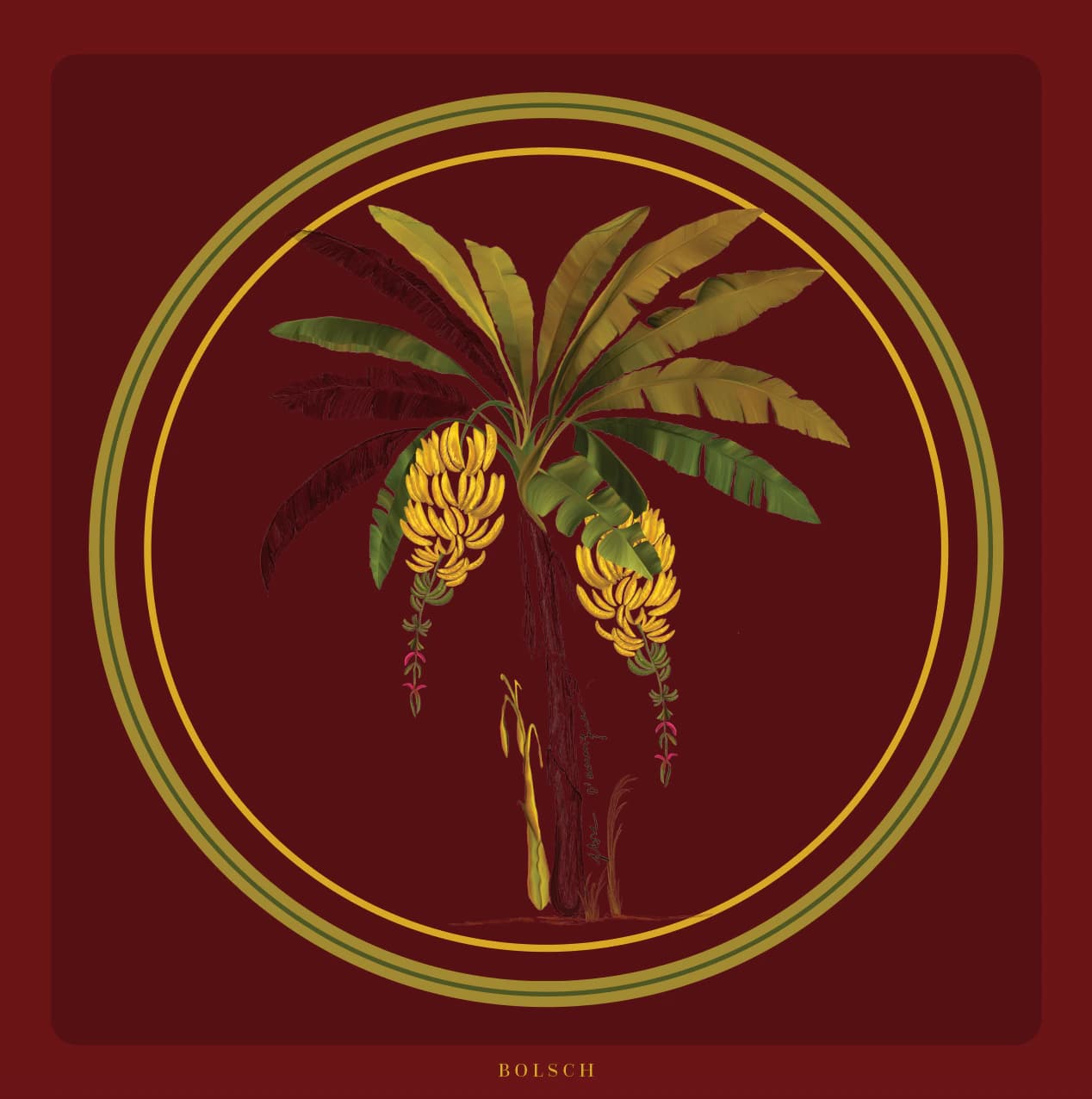 Flore de Amerique Vino
