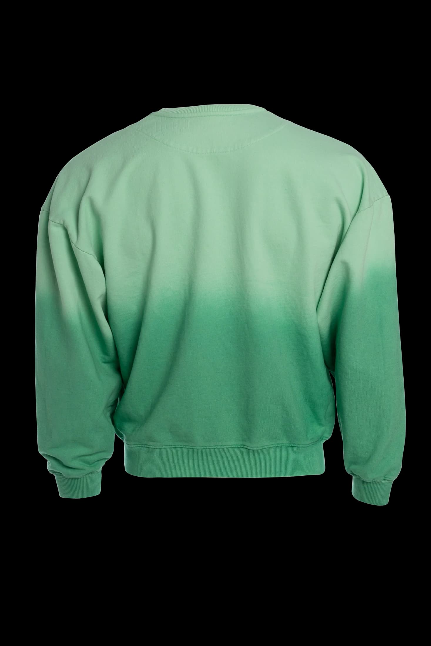 BUZO DEGRADÉ VERDE MUJER - imagen 4