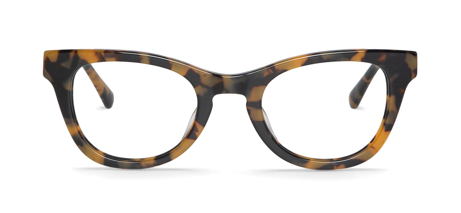 HC TORTOISE ESTELLA - imagen 1
