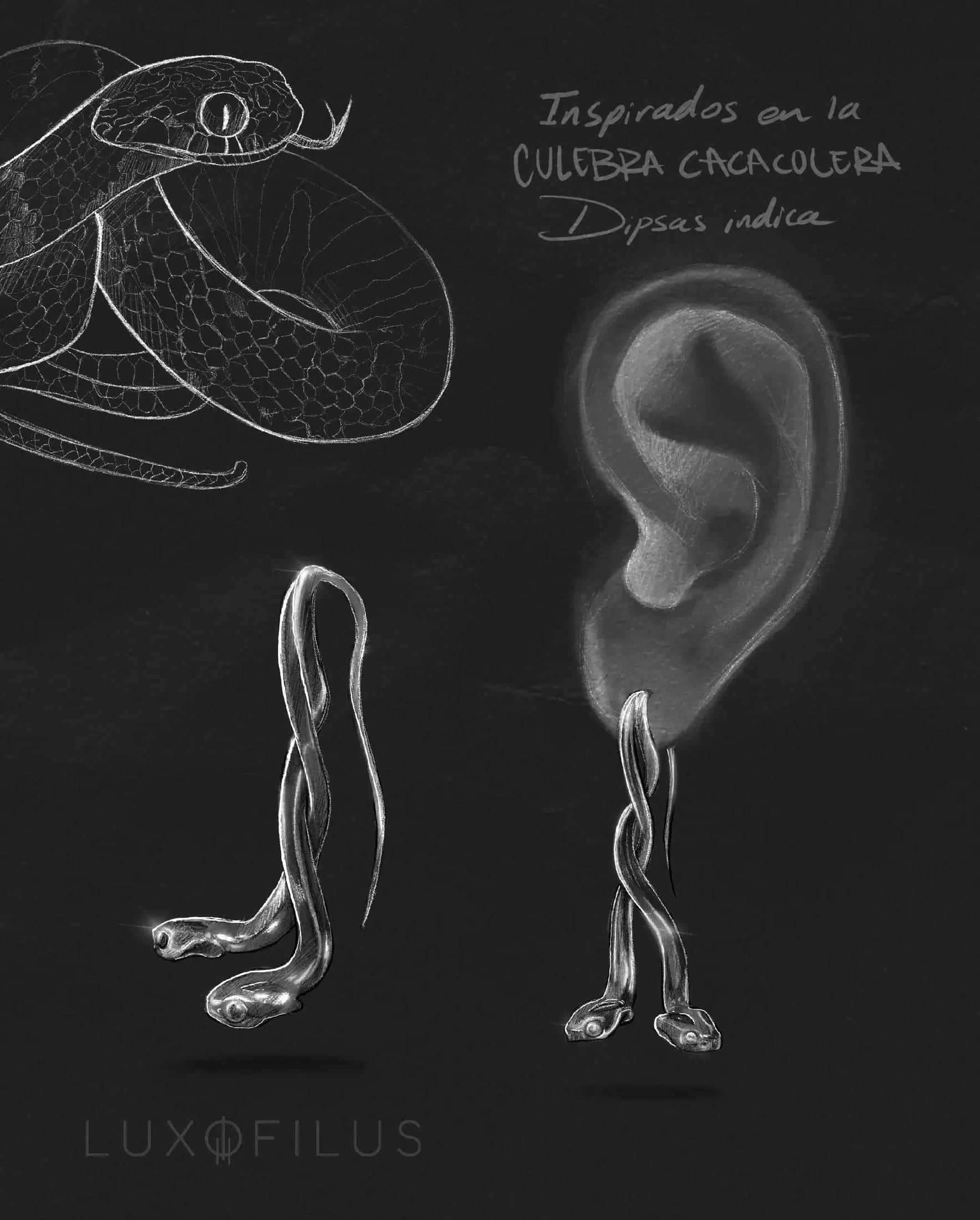 Aretes Culebra Caracolera - imagen 4