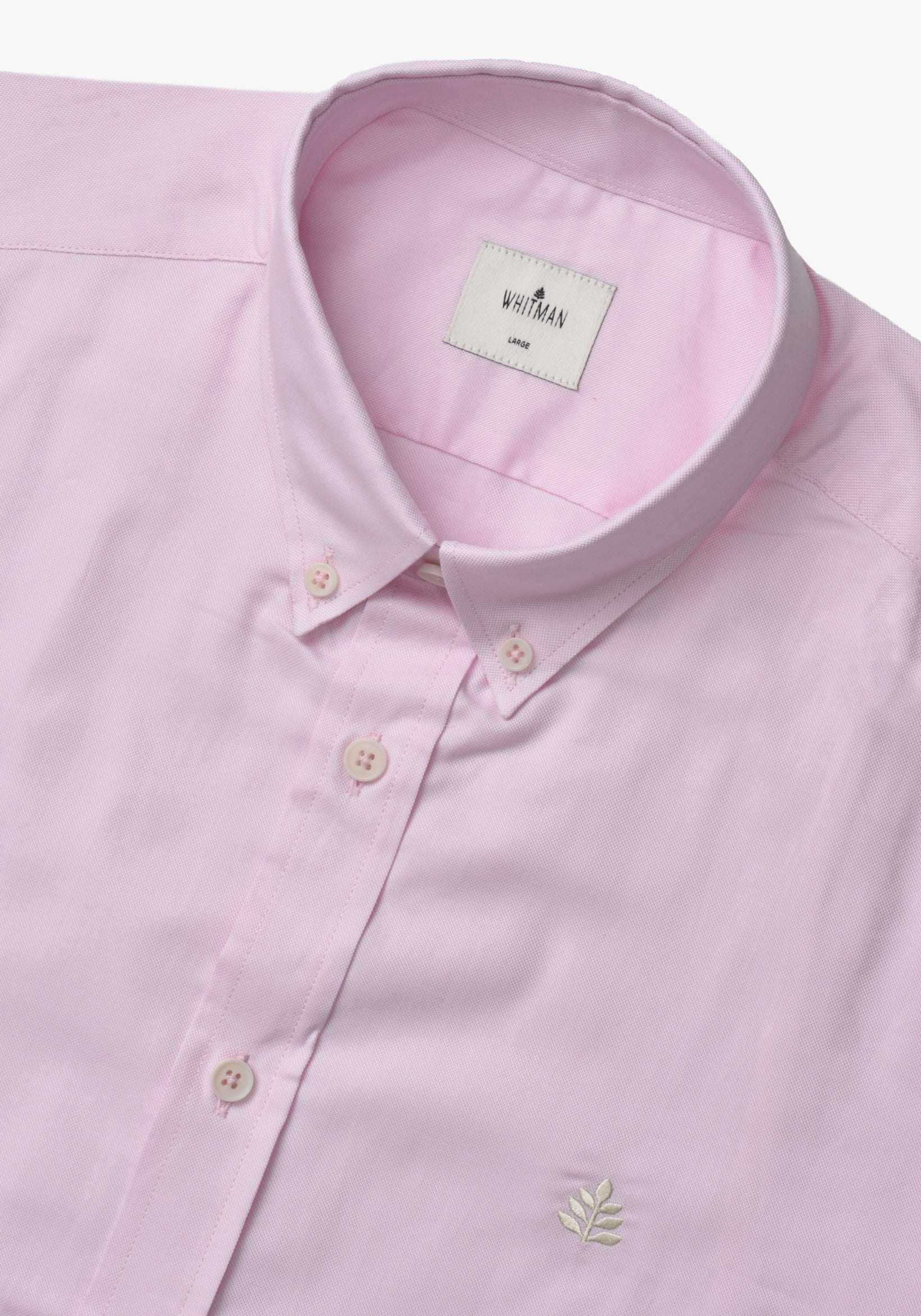 Camisa Whitman Rosada Cuello Button Down - imagen 4