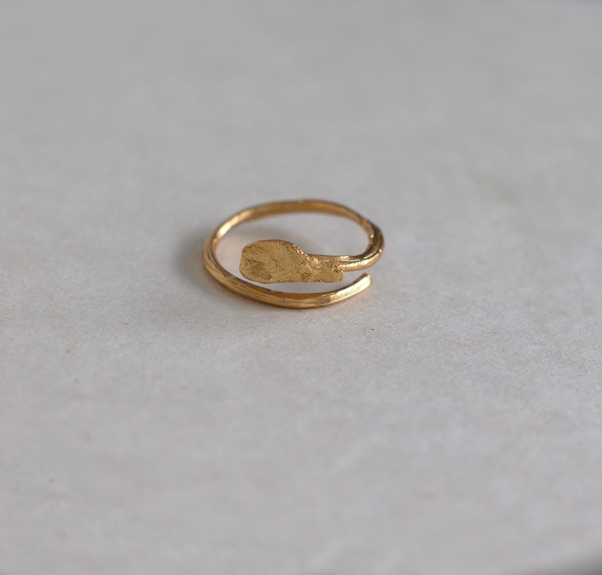 Anillo Hoja rábano - imagen 1
