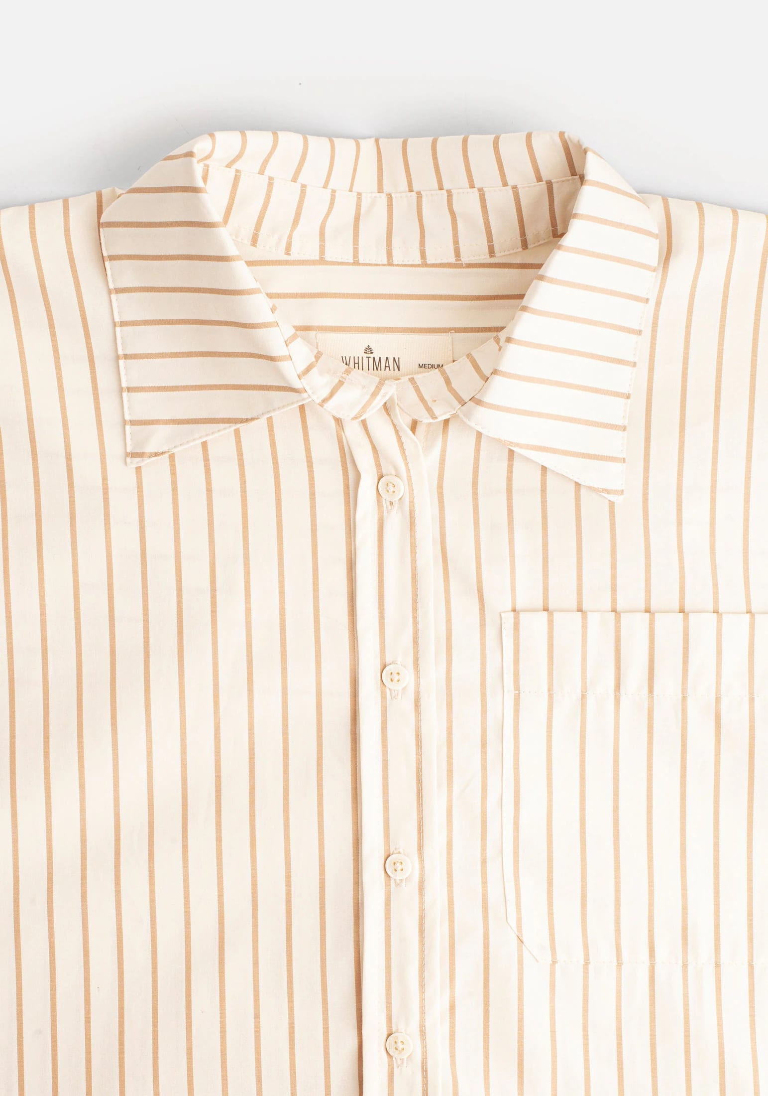 Camisa M Antonella Rayas Marfil - Taupe - imagen 2