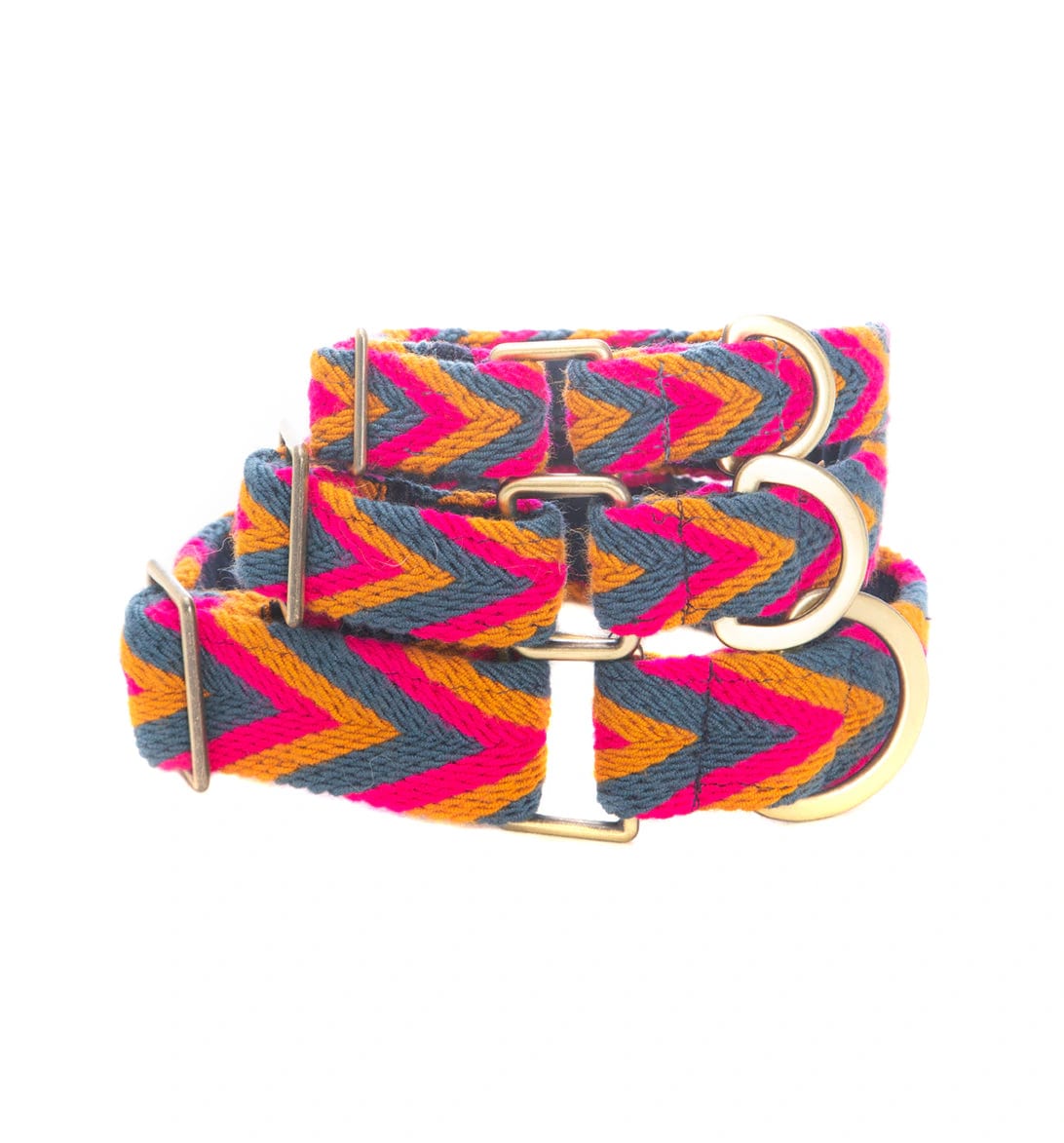 Azul Set - Collar & Leash - imagen 4