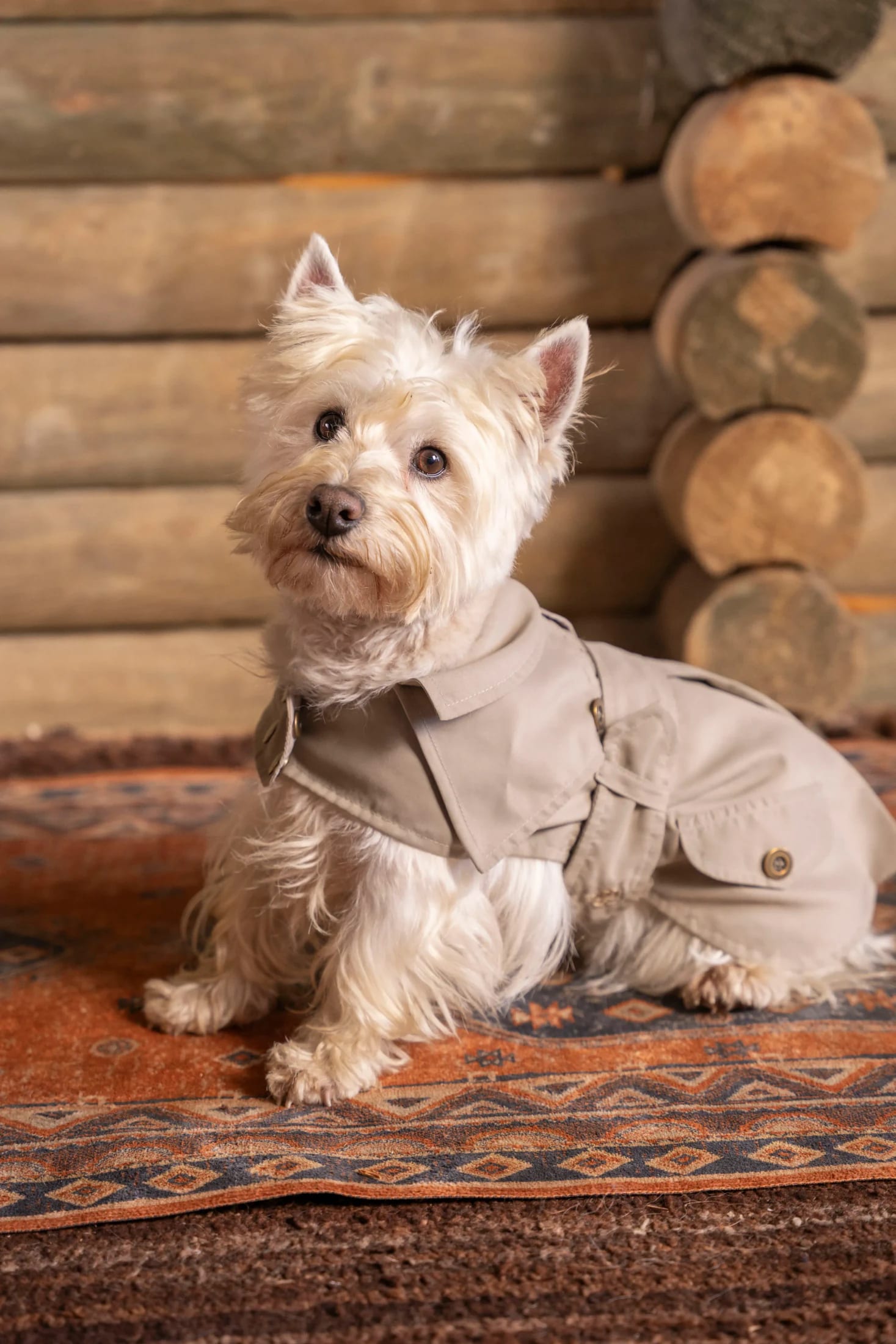 Trench Perro Beige Oscuro - imagen 9