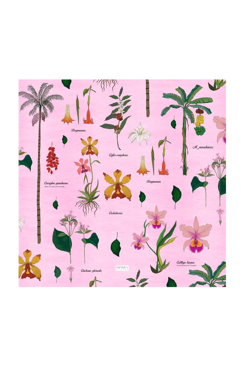 Pañoleta / Expedición Botánica Rosa - imagen 2