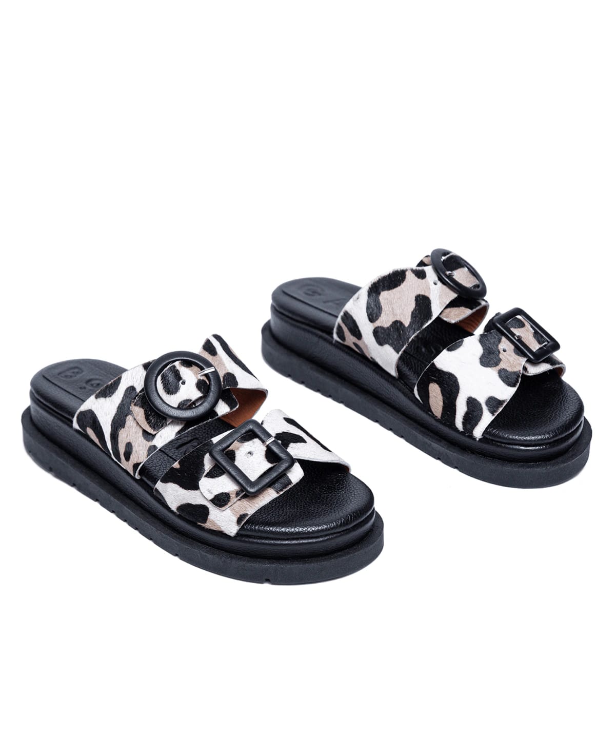 Allegra Leopardo - imagen 3