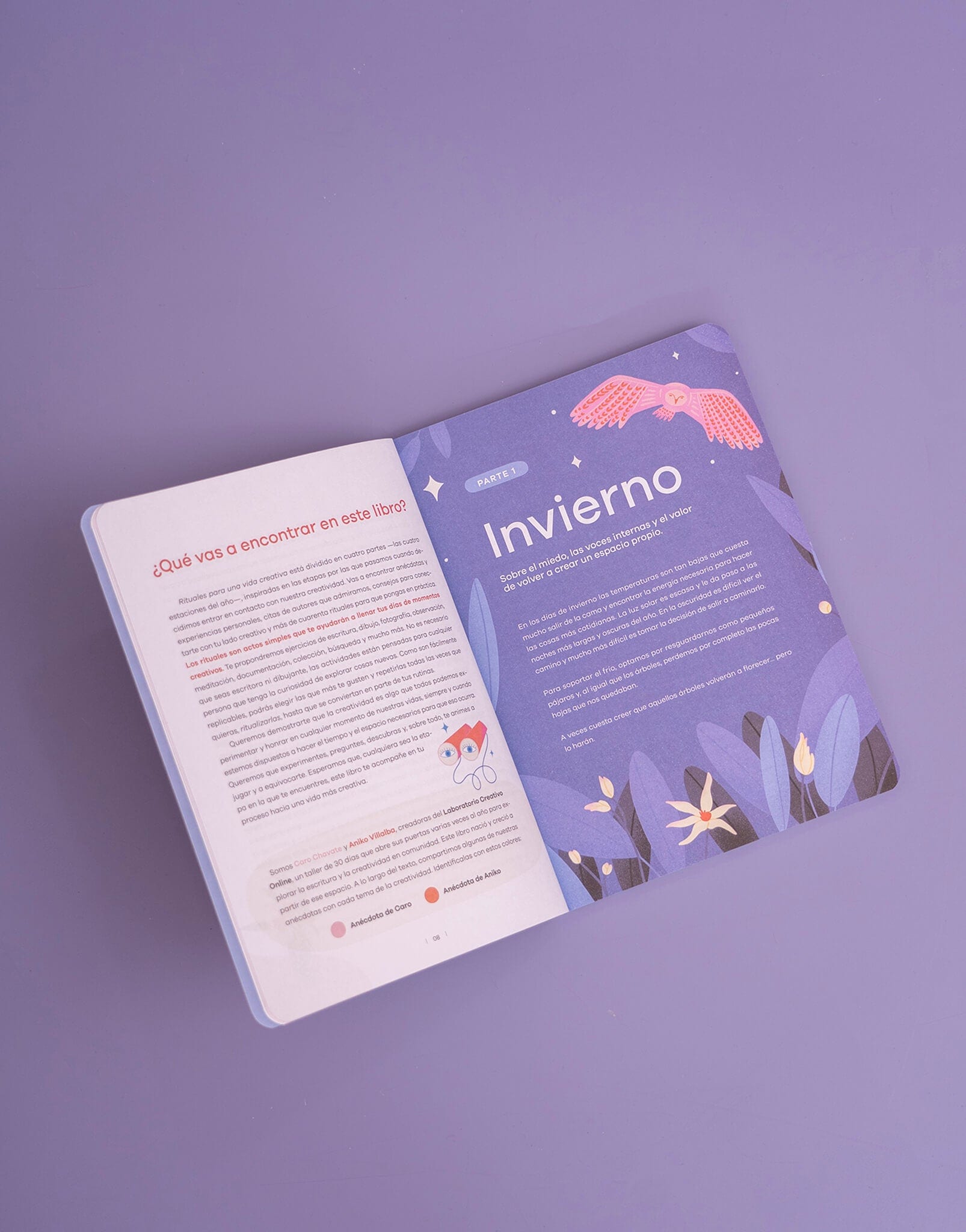 LIBRO RITUALES PARA UNA VIDA CREATIVA - imagen 2