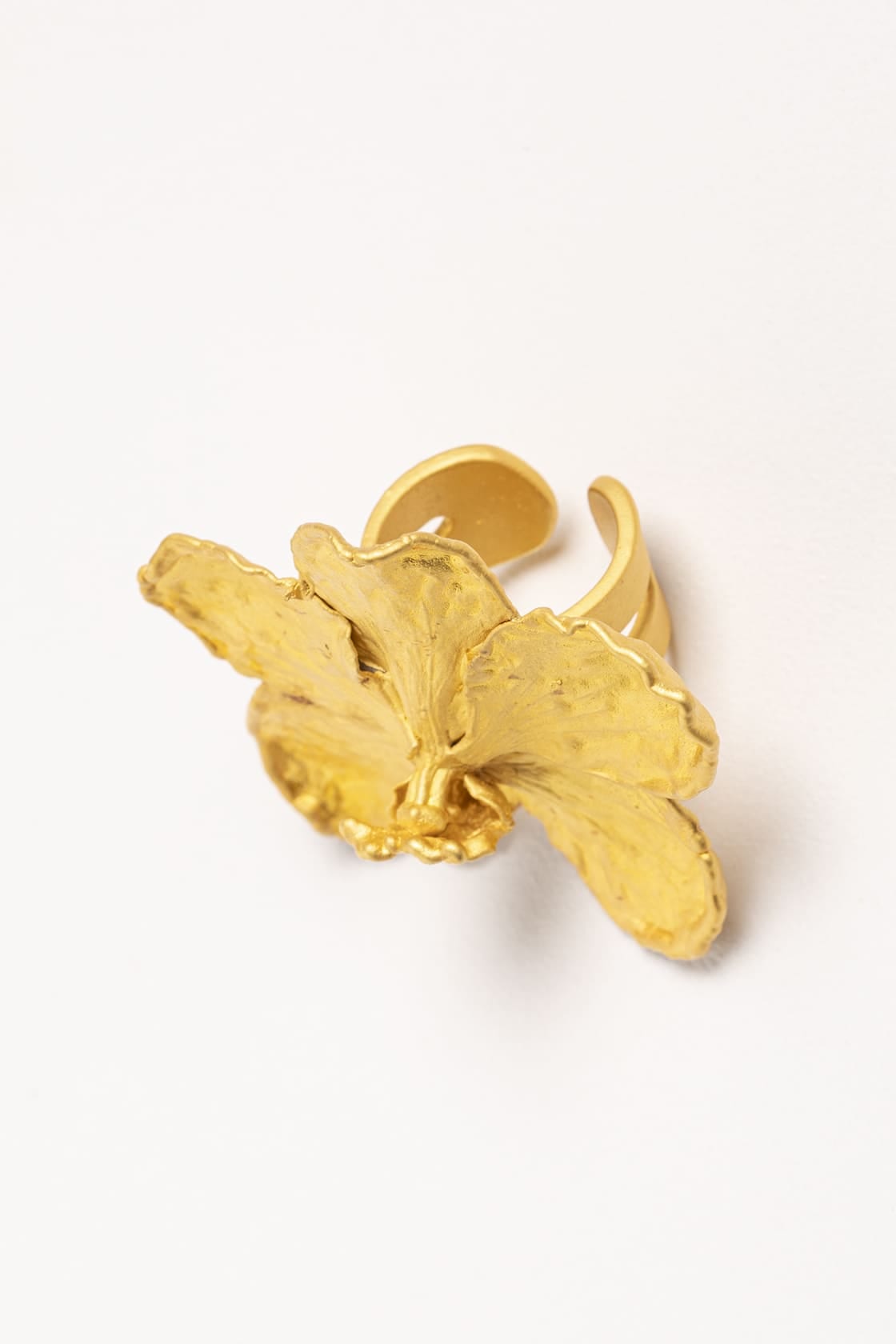 VANDA RING - imagen 4