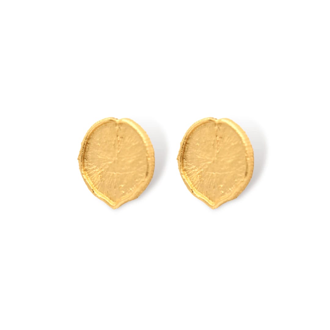 Aretes hoja de victoria regia - imagen 1