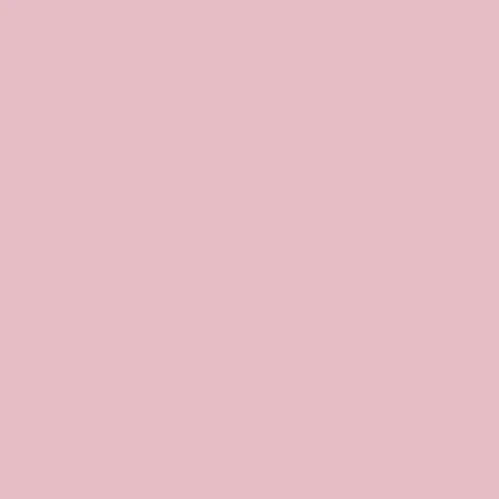 Brassier Velvet - imagen 12