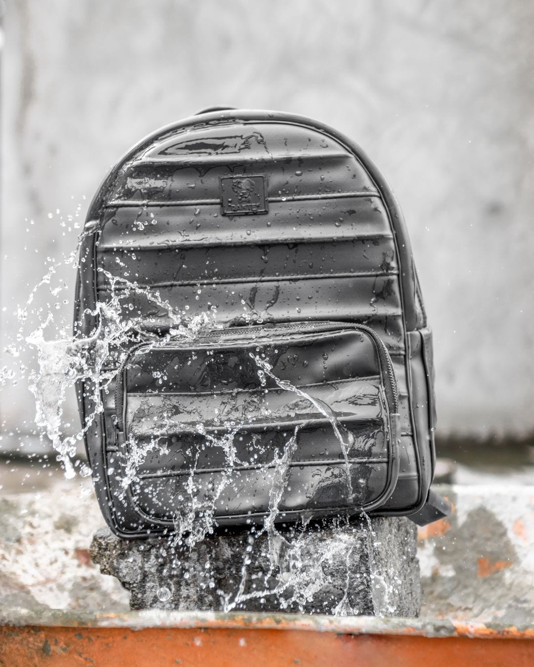 Eco Backpack - imagen 2