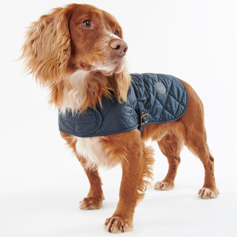 Quilted Dog Coat - imagen 1