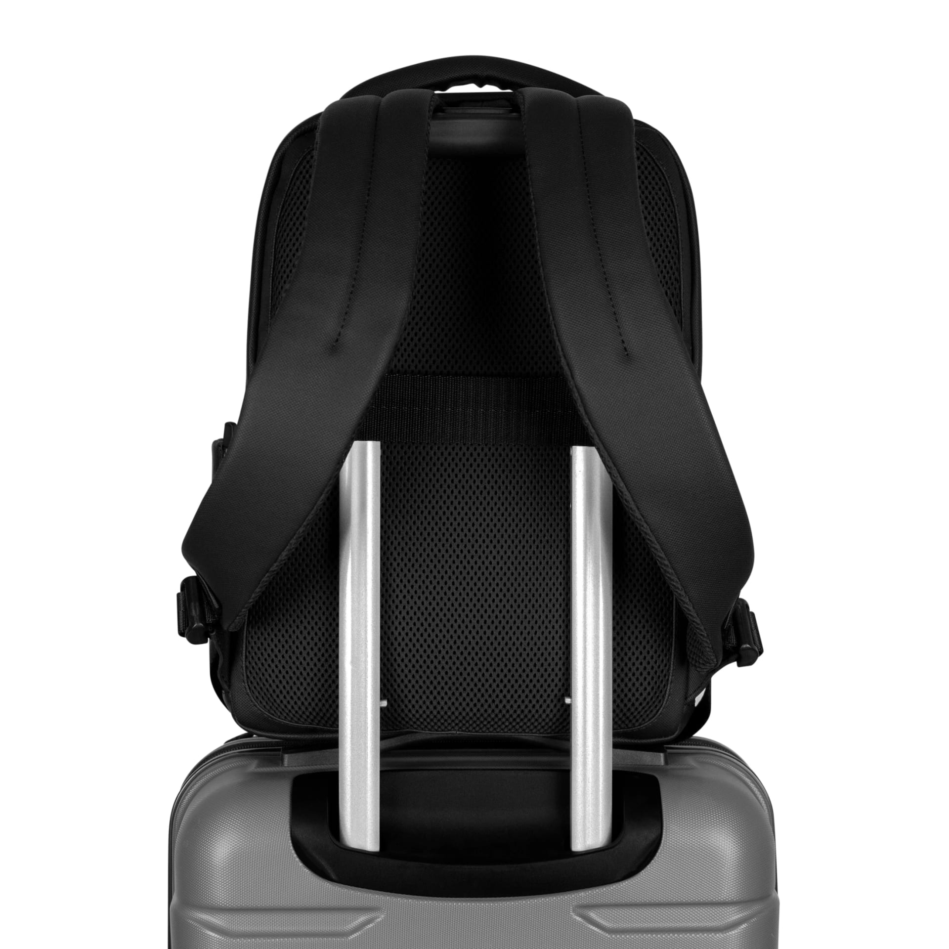 MORRAL CARBONO - imagen 5