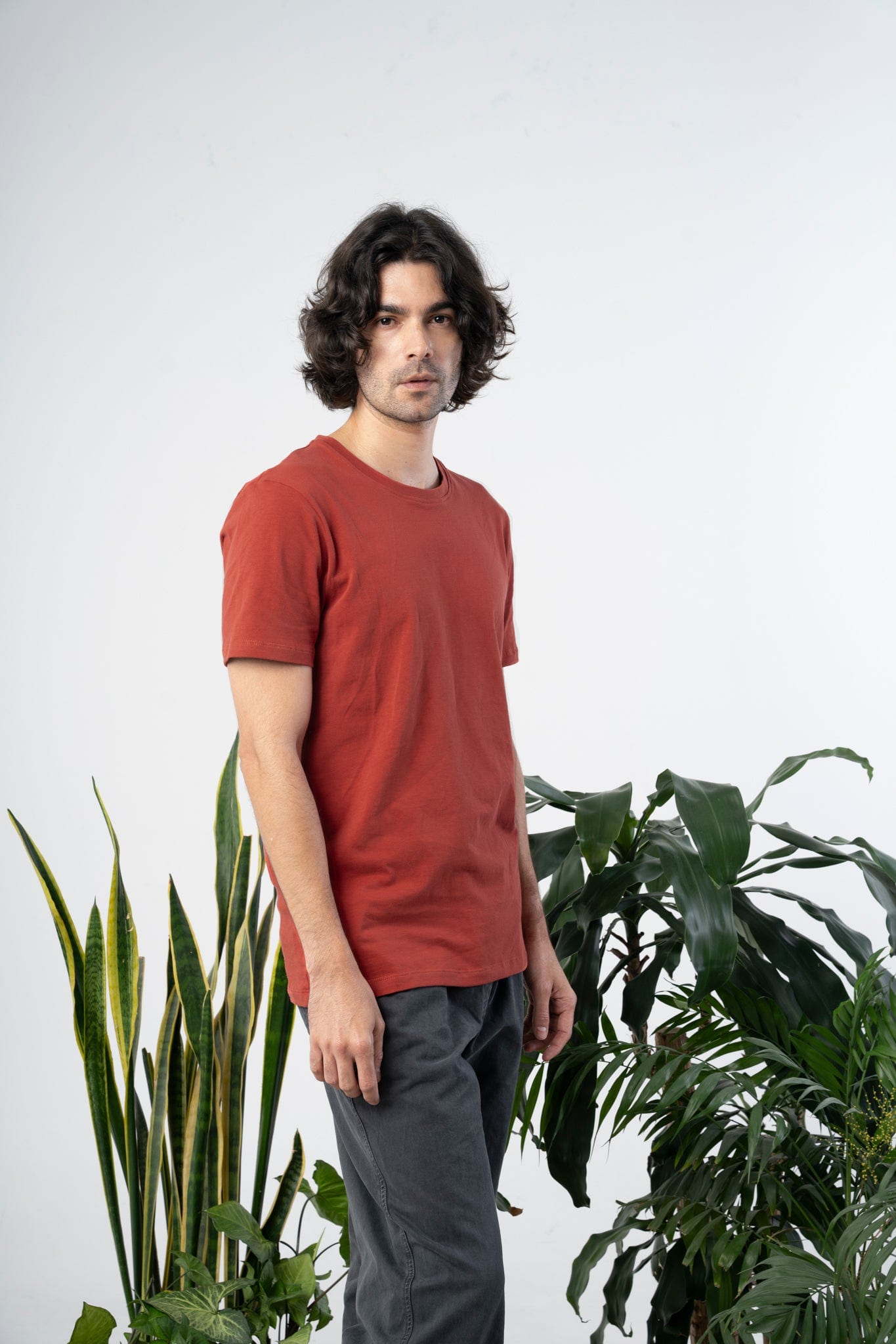 Elemental Organic Cotton Tee - imagen 1