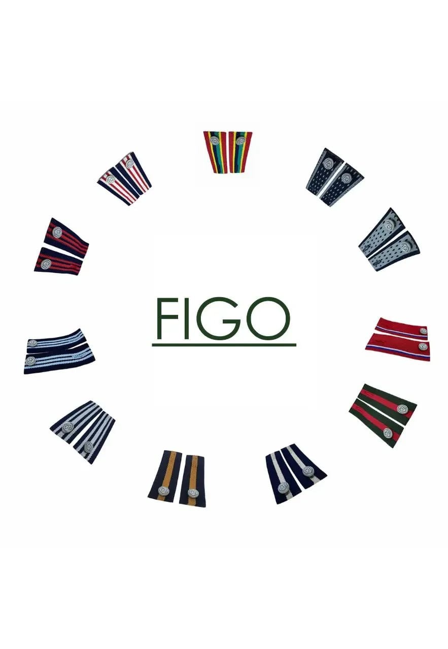 ¡La tua Collezione! - 15 Figos - imagen 2
