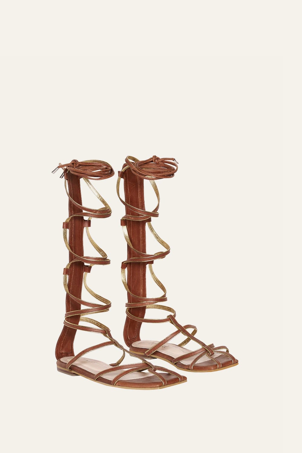 Baquiana Gladiator - imagen 2