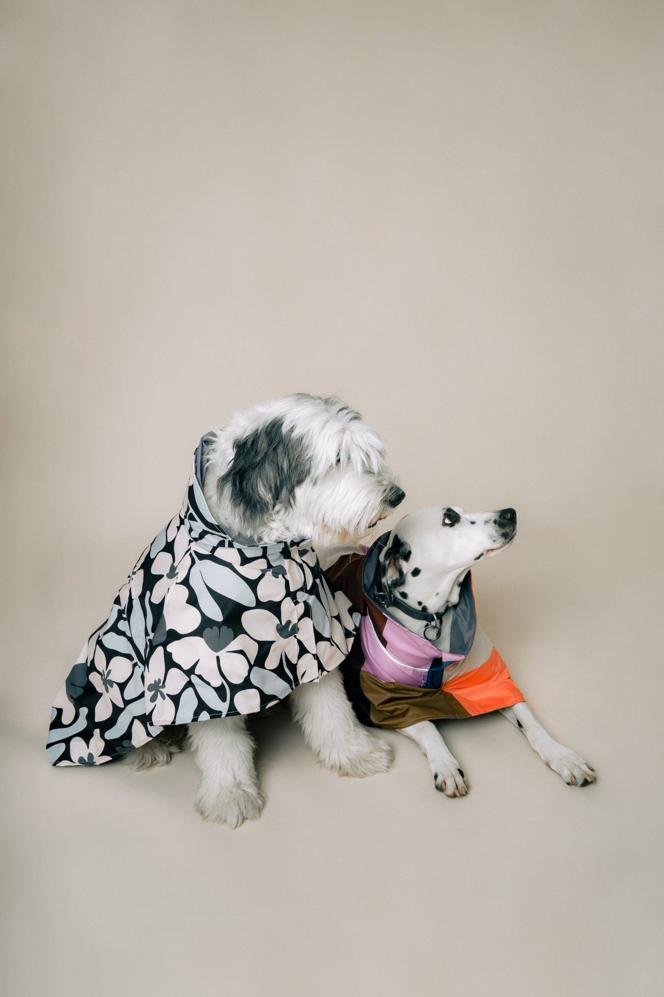 DOG´S RAINCOAT URBAN SPLASH - imagen 4