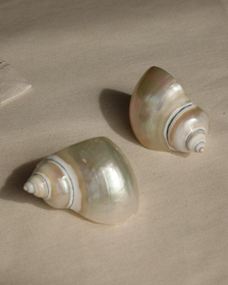SET X2 - SHELL NAPKIN RING - imagen 3