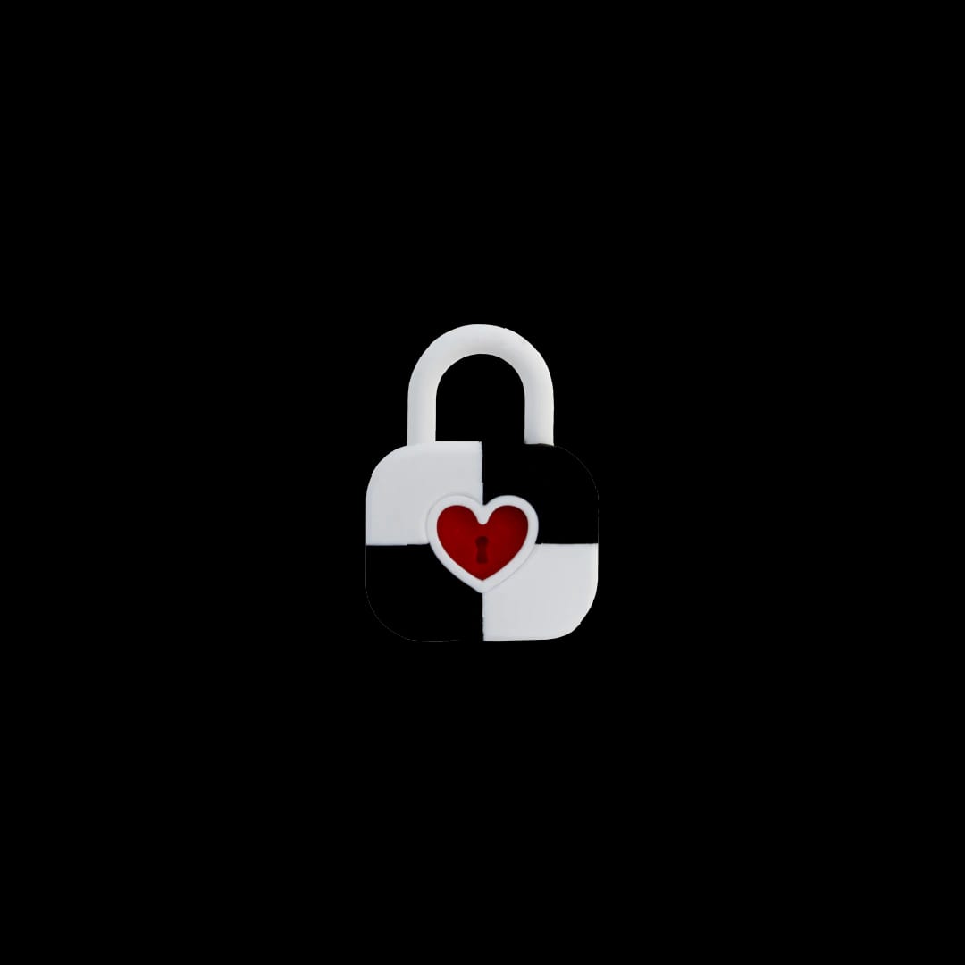 CANDADO - imagen 2