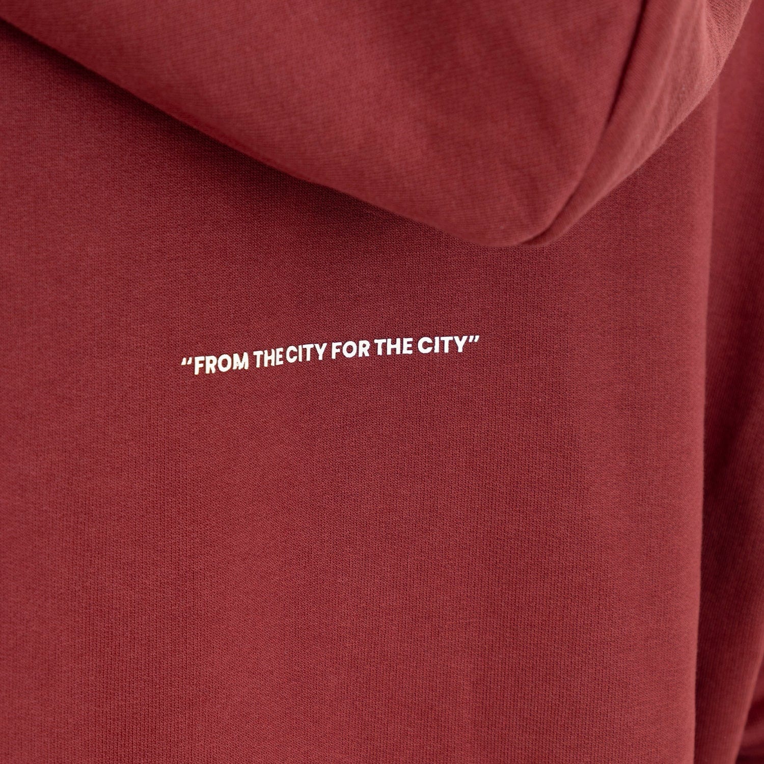 Zip Hoodie Regular Fit Red - imagen 9