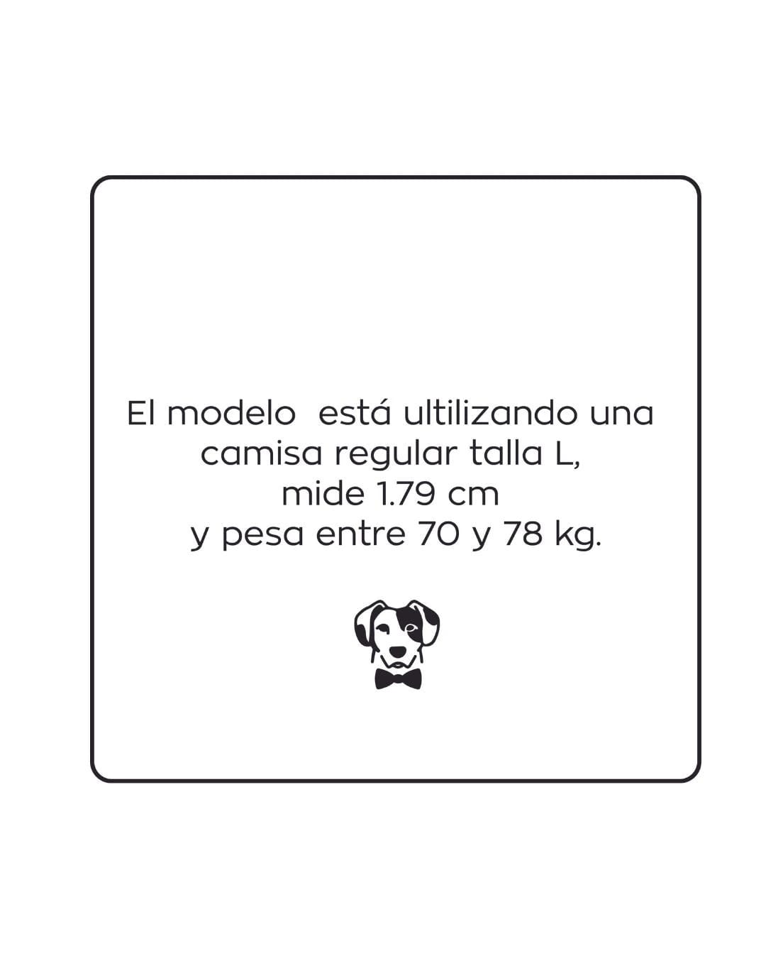 Camisa Antimanchas Oxford Ivory - Talla Regular - imagen 11