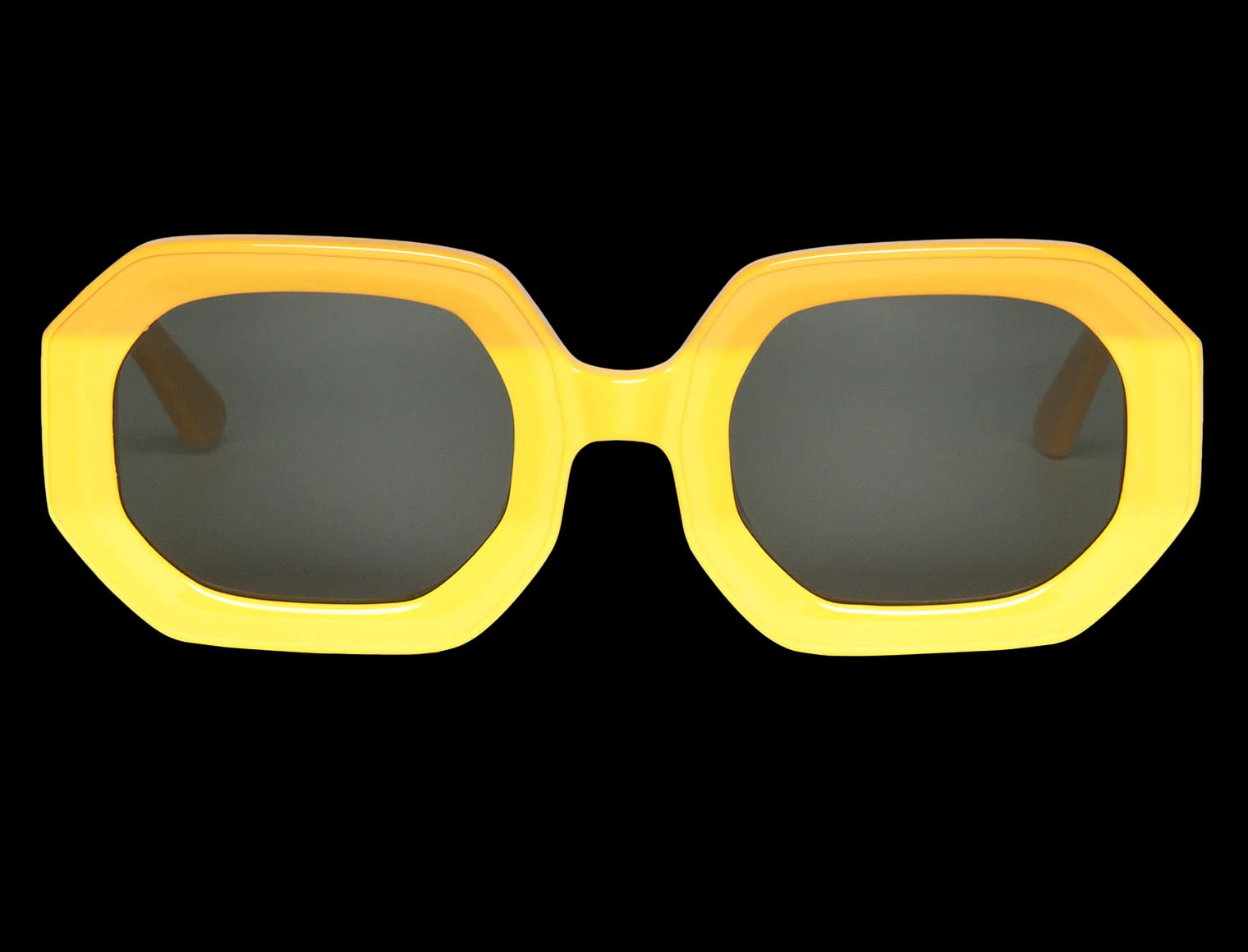 SUNNY SAGENE WITH CLASSICAL LENSES - imagen 1