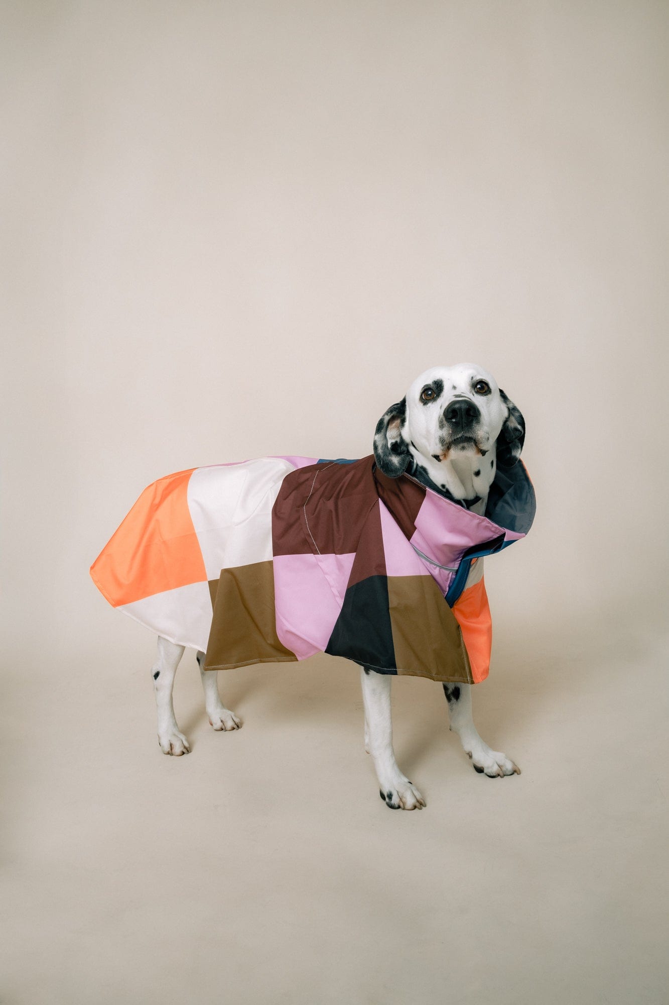 DOG´S RAINCOAT URBAN SPLASH - imagen 1