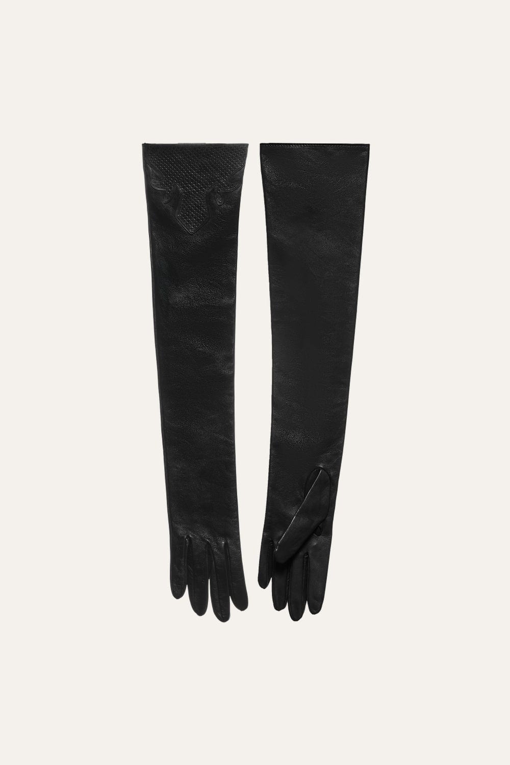 The Hidden Eden Gloves - imagen 1