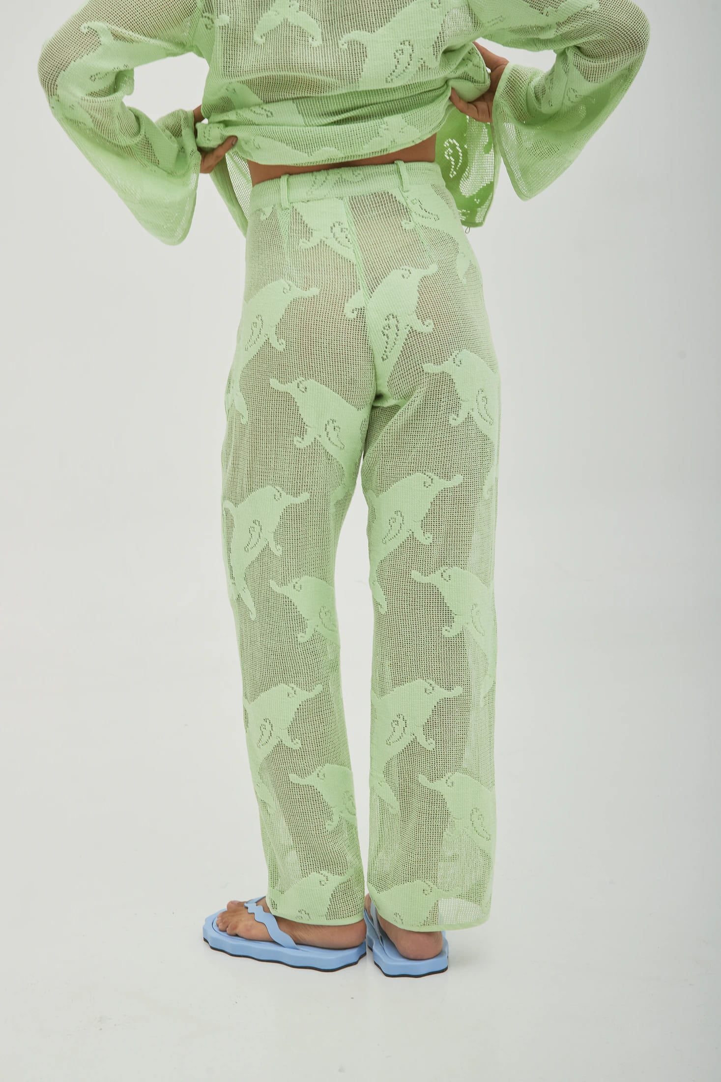 Pant Dolphins Verde - imagen 3