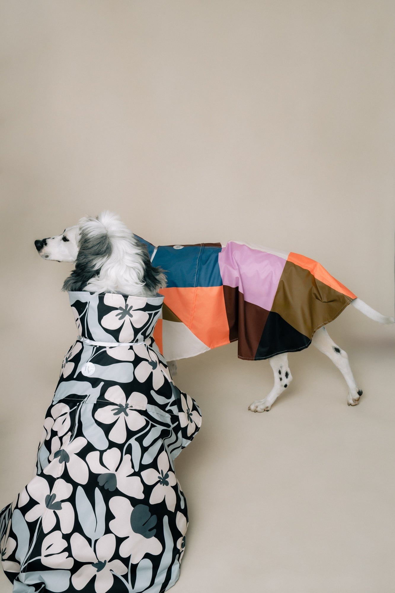 DOG´S RAINCOAT URBAN SPLASH - imagen 5