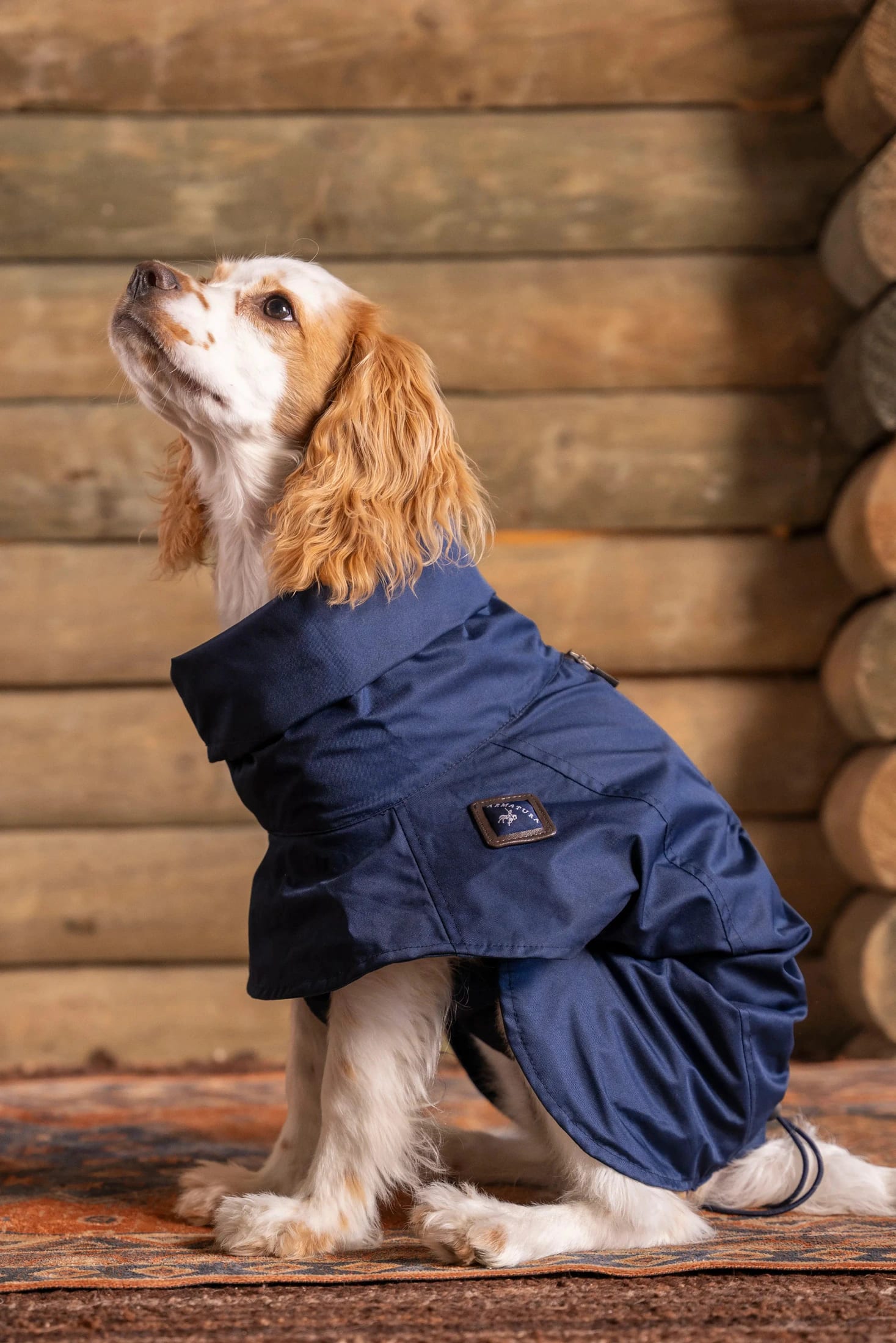 Impermeable Presidential Perro Azul Oscuro - imagen 1