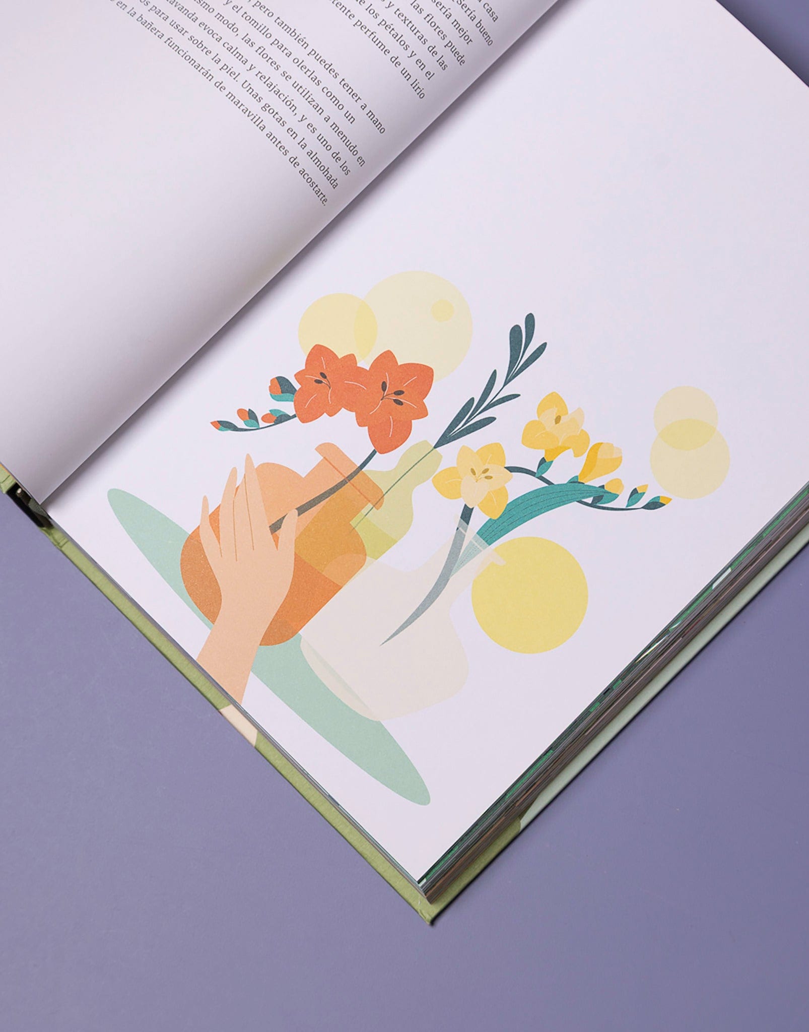 LIBRO UN AÑO DE CONEXIÓN CON LA NATURALEZA - imagen 4