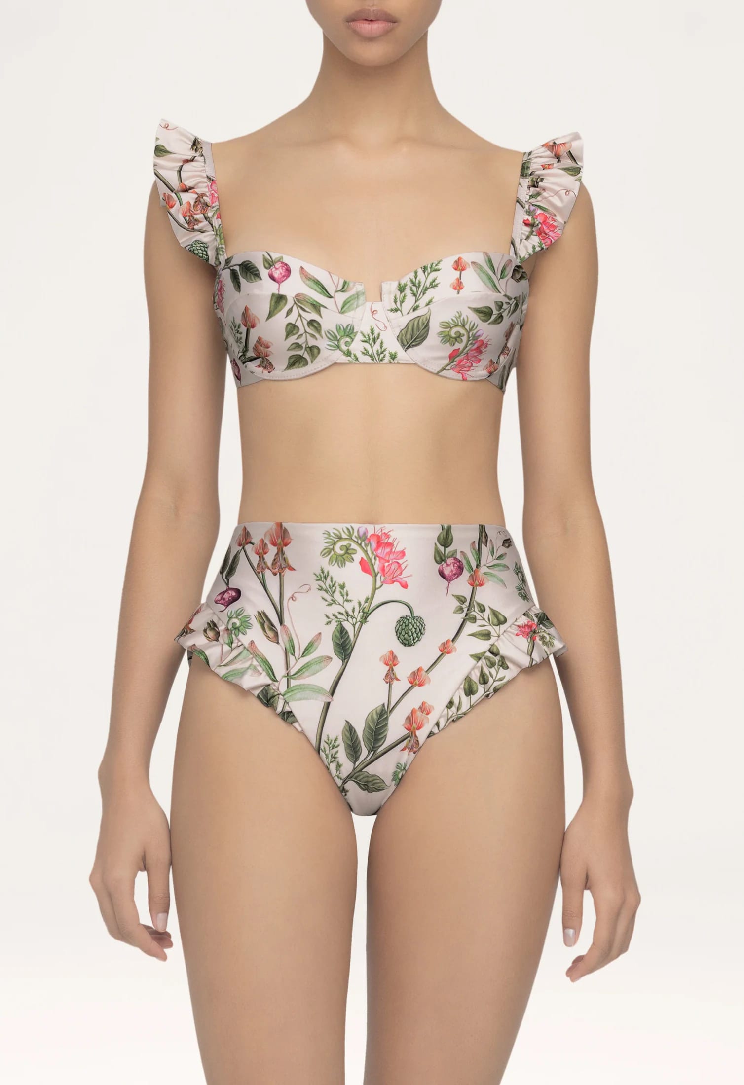 Jengibre Cultivo Bikini Bottom - imagen 9