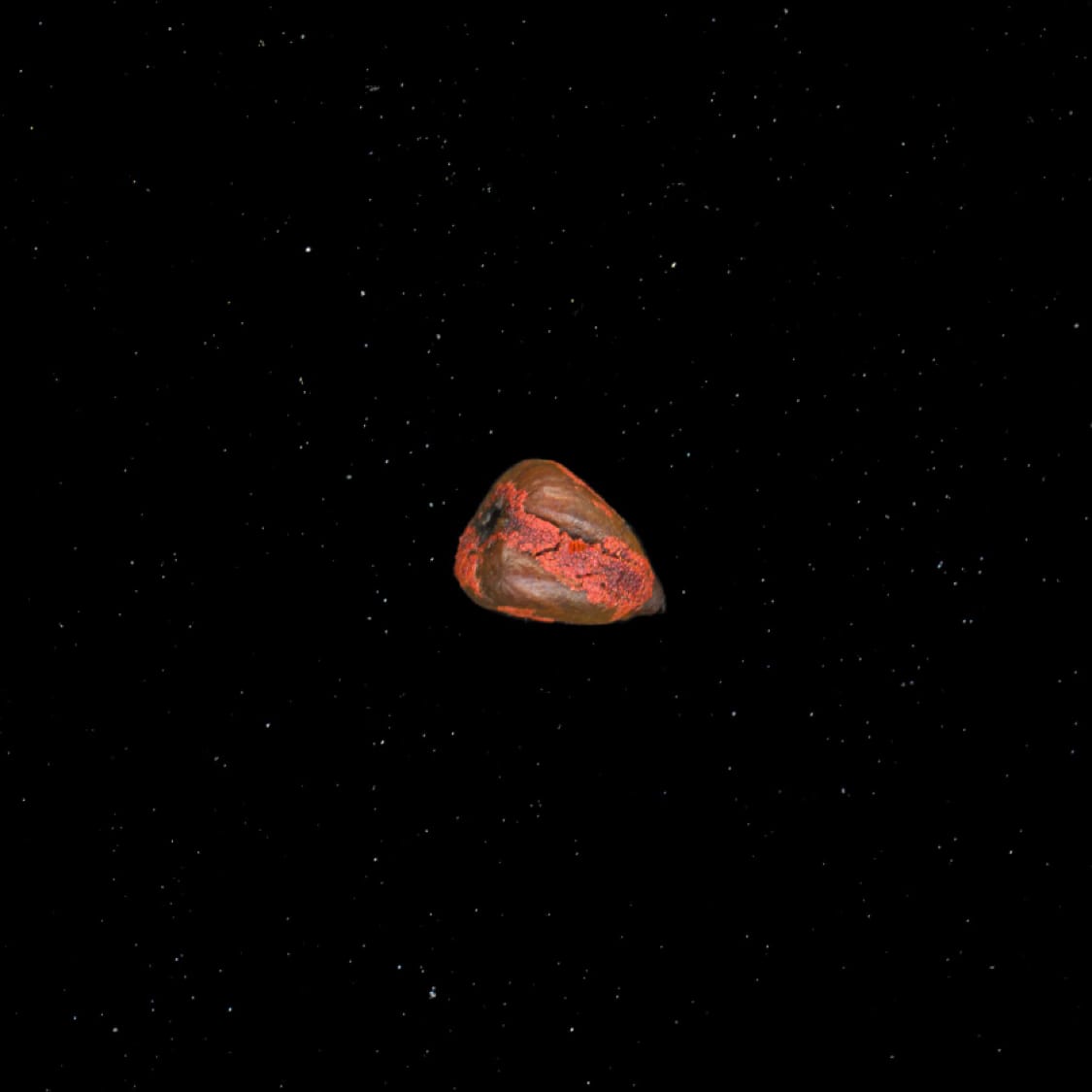 ANNATTO SEED - imagen 2