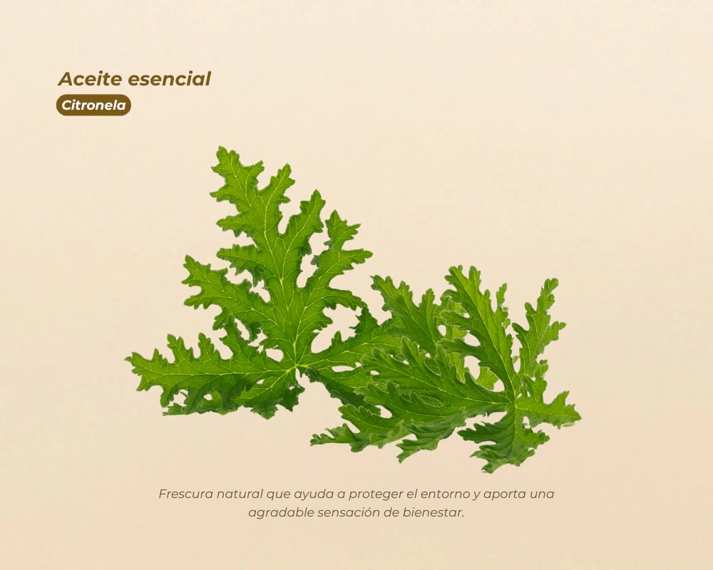 Aceites Esenciales 100% Puros para aromaterapia y bienestar - imagen 7