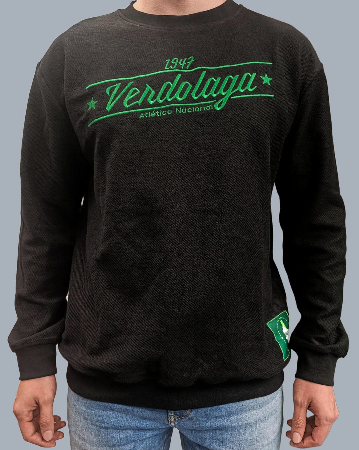 BUZO NEGRO PILSEN VERDOLAGA - imagen 1