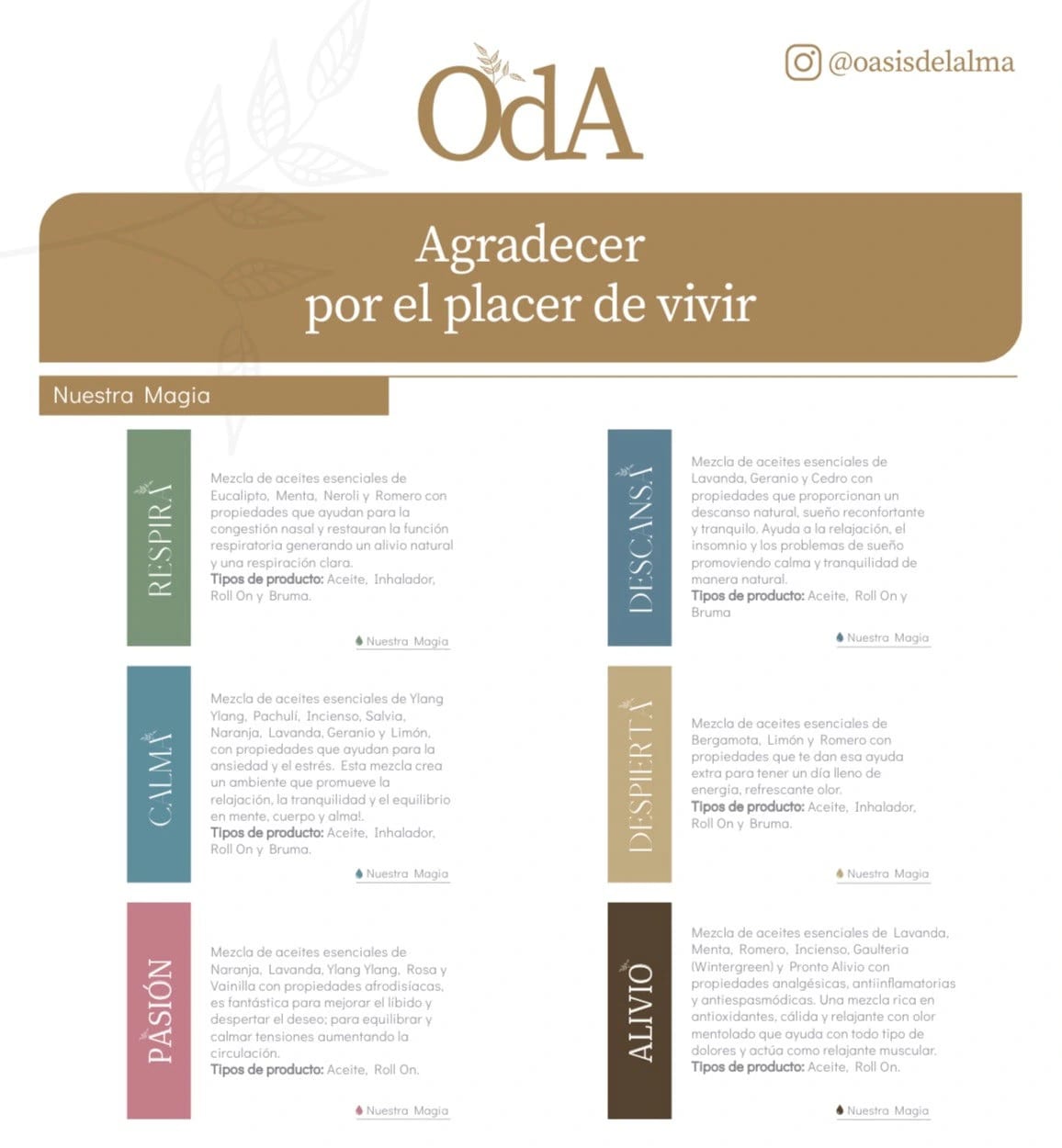 Vela de Masajes - imagen 7
