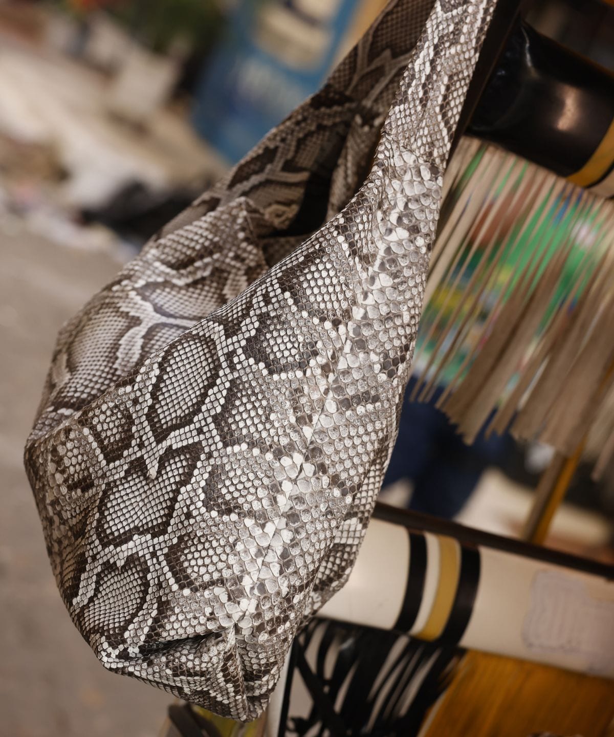 Meissa Hobo in Python - imagen 2