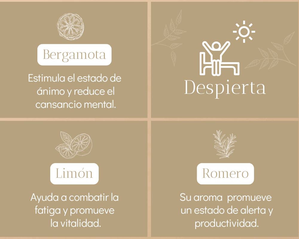 Kit Despierta - imagen 4