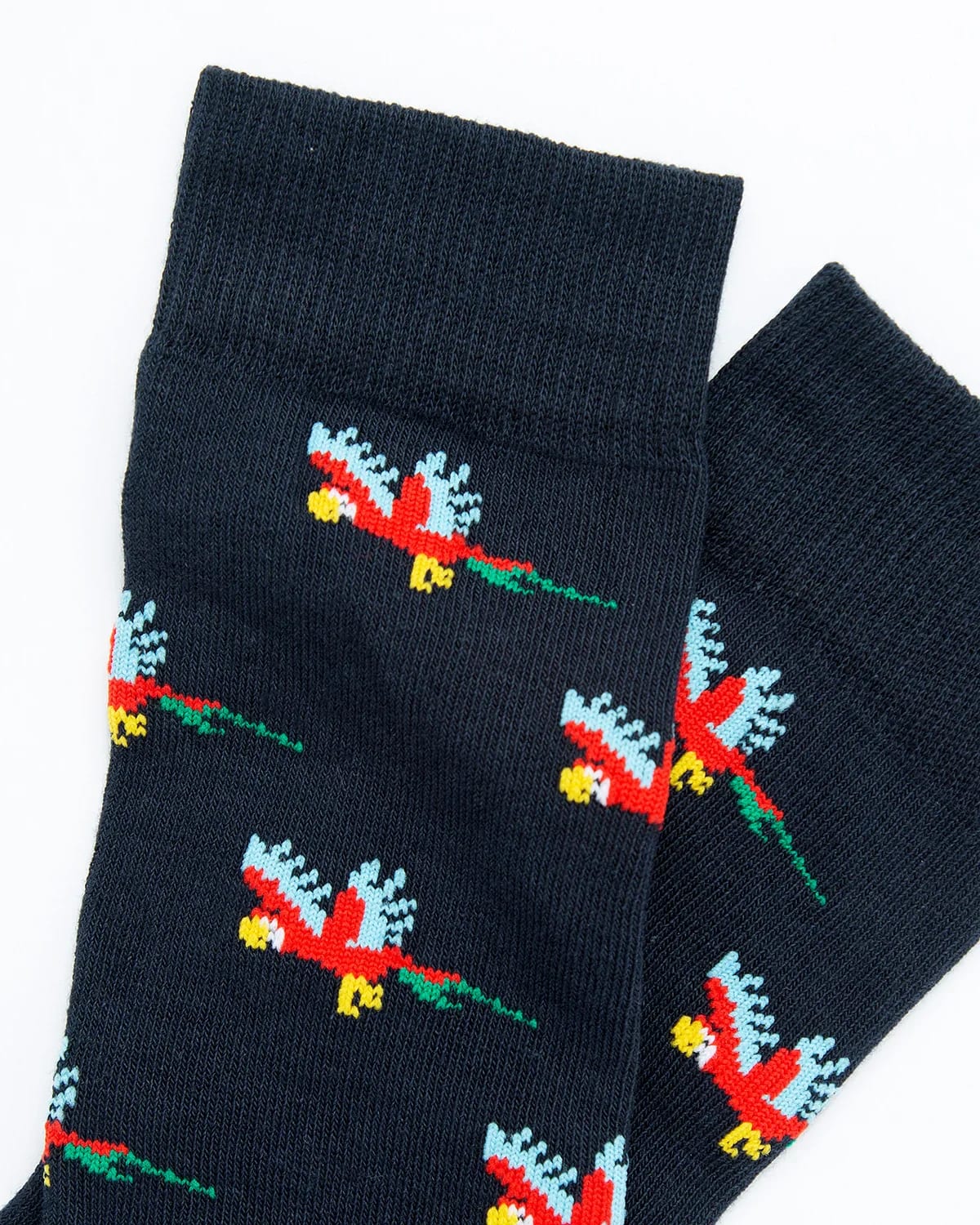 Medias Algodón Estampado Guacamayas - Fondo Azul - imagen 4
